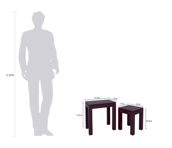 Marissa Sheesham Wood Nesting Tables Set of 2 (Brown) - Image 7