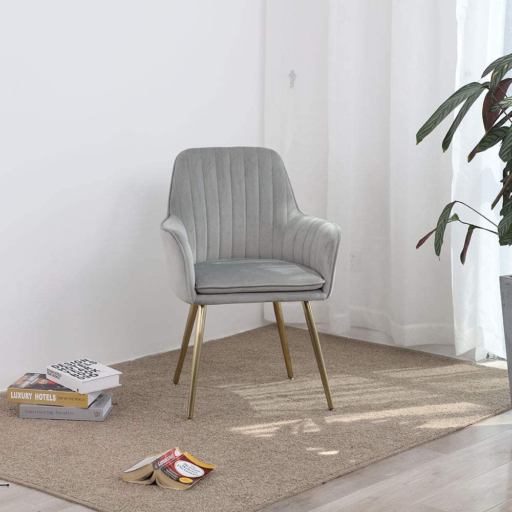 Eula Modern Accent Dining Chair Decornation