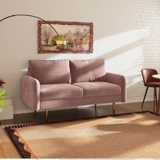 Ziva Upholstered 2- seater Modern Velvet Loveseat in Pink
